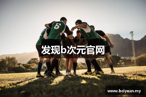 发现b次元官网